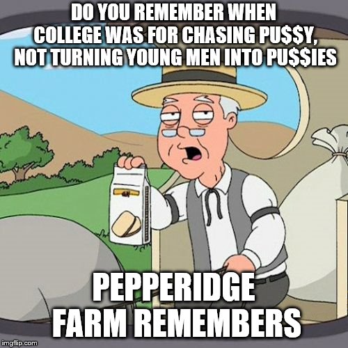 Pepperidge Farm Remembers Meme | DO YOU REMEMBER WHEN COLLEGE WAS FOR CHASING PU$$Y, NOT TURNING YOUNG MEN INTO PU$$IES; PEPPERIDGE FARM REMEMBERS | image tagged in memes,pepperidge farm remembers | made w/ Imgflip meme maker