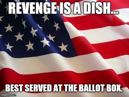 American flag | REVENGE IS A DISH... BEST SERVED AT THE BALLOT BOX. | image tagged in american flag | made w/ Imgflip meme maker