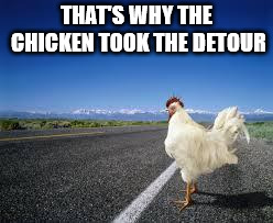 THAT'S WHY THE CHICKEN TOOK THE DETOUR | image tagged in why the chicken cross the road | made w/ Imgflip meme maker