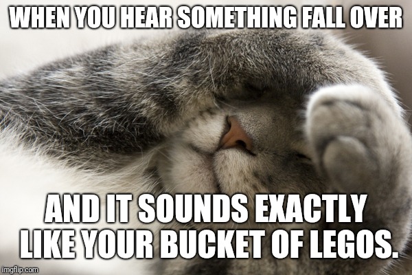 Cat and Legos | WHEN YOU HEAR SOMETHING FALL OVER; AND IT SOUNDS EXACTLY LIKE YOUR BUCKET OF LEGOS. | image tagged in cat,lego,legos,funny,relatable | made w/ Imgflip meme maker