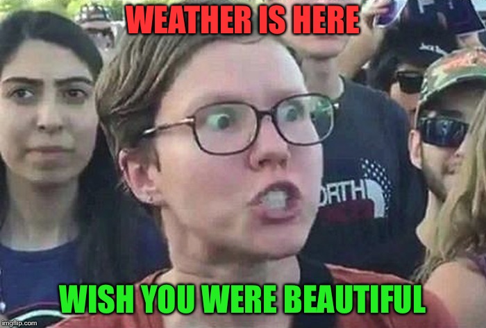 Triggered Liberal | WEATHER IS HERE; WISH YOU WERE BEAUTIFUL | image tagged in triggered liberal | made w/ Imgflip meme maker