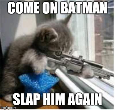 cats with guns | COME ON BATMAN SLAP HIM AGAIN | image tagged in cats with guns | made w/ Imgflip meme maker