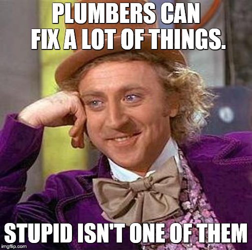 Creepy Condescending Wonka Meme | PLUMBERS CAN FIX A LOT OF THINGS. STUPID ISN'T ONE OF THEM | image tagged in memes,creepy condescending wonka | made w/ Imgflip meme maker