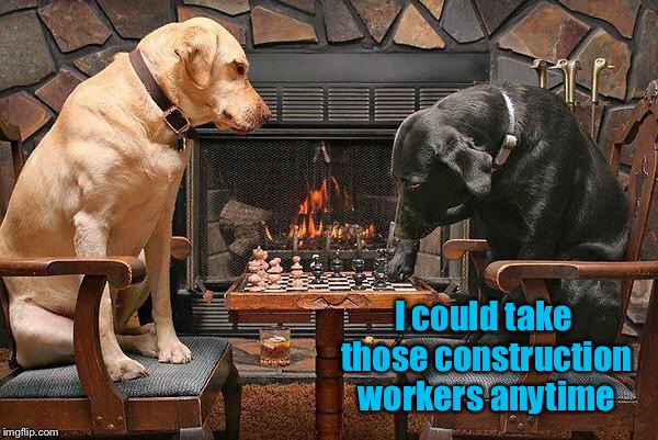 Dogs Playing Chess | I could take those construction workers anytime | image tagged in dogs playing chess | made w/ Imgflip meme maker