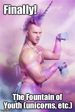 Gay Unicorn | Finally! The Fountain of Youth (unicorns, etc.) | image tagged in gay unicorn | made w/ Imgflip meme maker