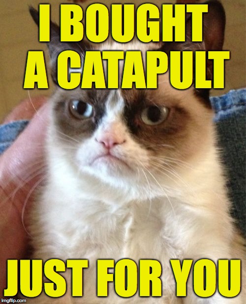 Your trajectory is thru the roof! Grumpy Cat's Weekend. A socrates and Craziness_all_the_way event. Oct 5th-8th. | I BOUGHT A CATAPULT; JUST FOR YOU | image tagged in memes,grumpy cat | made w/ Imgflip meme maker