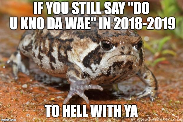 Grumpy Toad Meme | IF YOU STILL SAY "DO U KNO DA WAE" IN 2018-2019; TO HELL WITH YA | image tagged in memes,grumpy toad | made w/ Imgflip meme maker