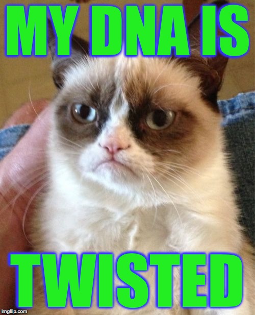 I'm alway bent out of shape. Grumpy Cat's Weekend. A socrates and Craziness_all_the_way event. Oct 5th-8th. | MY DNA IS; TWISTED | image tagged in memes,grumpy cat,dna,good genes | made w/ Imgflip meme maker