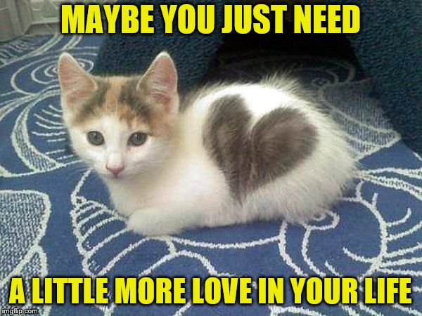 MAYBE YOU JUST NEED A LITTLE MORE LOVE IN YOUR LIFE | made w/ Imgflip meme maker