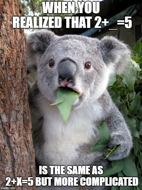 Surprised Koala | WHEN YOU REALIZED THAT 2+_=5; IS THE SAME AS 2+X=5 BUT MORE COMPLICATED | image tagged in memes,surprised koala | made w/ Imgflip meme maker