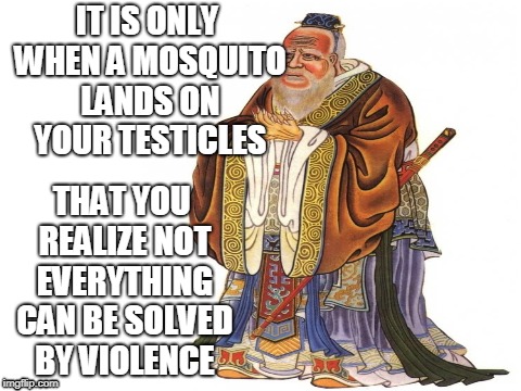 wise words | IT IS ONLY WHEN A MOSQUITO LANDS ON YOUR TESTICLES; THAT YOU REALIZE NOT EVERYTHING CAN BE SOLVED BY VIOLENCE | image tagged in wise | made w/ Imgflip meme maker