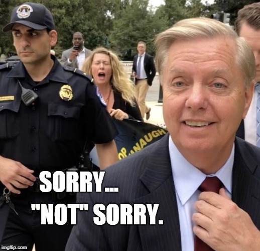 Lindsey's had enough! | SORRY... "NOT" SORRY. | image tagged in lindsey graham,conservatives,politics,funny,senate | made w/ Imgflip meme maker
