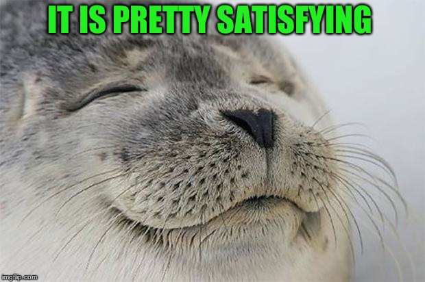 Satisfied Seal Meme | IT IS PRETTY SATISFYING | image tagged in memes,satisfied seal | made w/ Imgflip meme maker
