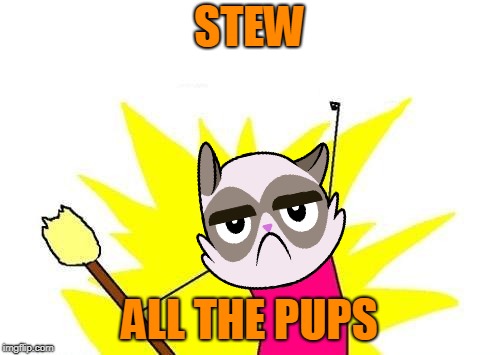 X All The Y Meme | STEW ALL THE PUPS | image tagged in memes,x all the y | made w/ Imgflip meme maker