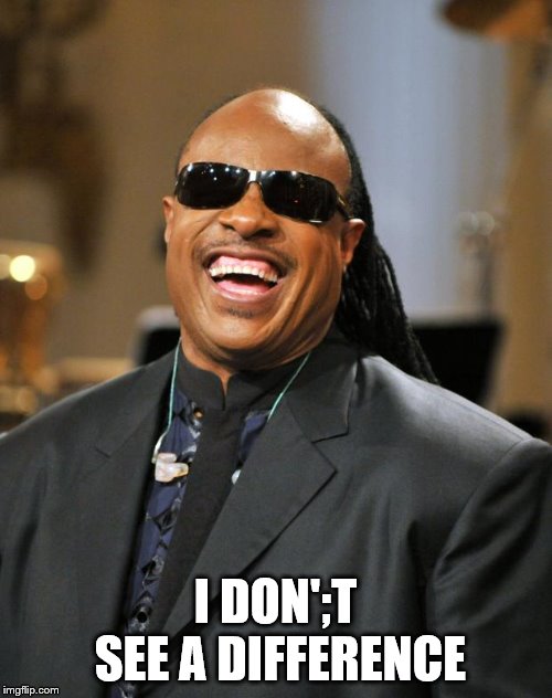 Stevie Wonder | I DON';T SEE A DIFFERENCE | image tagged in stevie wonder | made w/ Imgflip meme maker