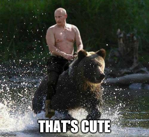 Putin Thats Cute | THAT'S CUTE | image tagged in putin thats cute | made w/ Imgflip meme maker