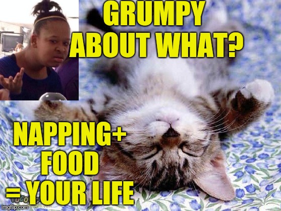 UpsideDwon Sleeping Cat | GRUMPY ABOUT WHAT? NAPPING+ FOOD = YOUR LIFE | image tagged in upsidedwon sleeping cat,scumbag | made w/ Imgflip meme maker