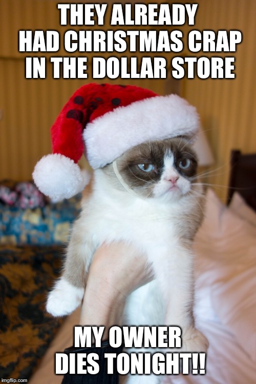 Grumpy Cat Weekend by Craziness_all_the_way and socrates! Get this hat off me!  | THEY ALREADY HAD CHRISTMAS CRAP IN THE DOLLAR STORE; MY OWNER DIES TONIGHT!! | image tagged in grumpy cat christmas,craziness_all_the_way,socrates,funny memes | made w/ Imgflip meme maker