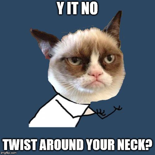 Y IT NO TWIST AROUND YOUR NECK? | made w/ Imgflip meme maker