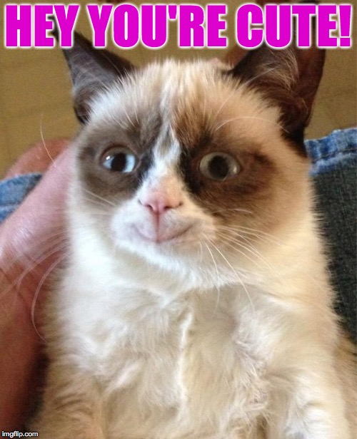 Grumpy Cat Happy Meme | HEY YOU'RE CUTE! | image tagged in memes,grumpy cat happy,grumpy cat | made w/ Imgflip meme maker