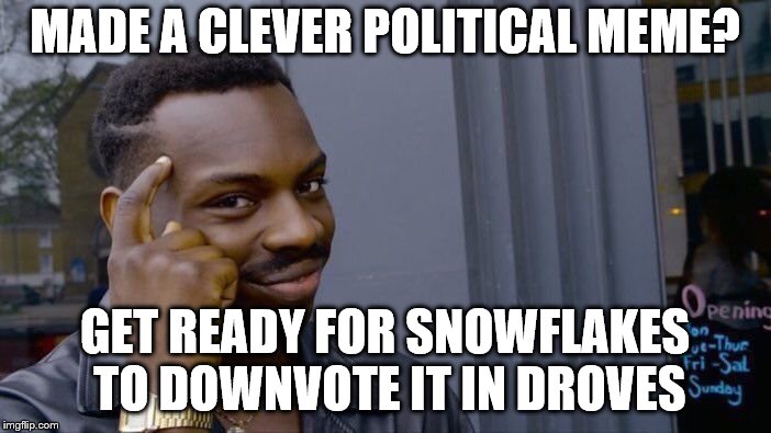 Roll Safe Think About It Meme | MADE A CLEVER POLITICAL MEME? GET READY FOR SNOWFLAKES TO DOWNVOTE IT IN DROVES | image tagged in memes,roll safe think about it | made w/ Imgflip meme maker