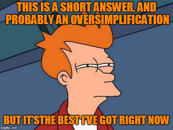 Futurama Fry Meme | THIS IS A SHORT ANSWER, AND PROBABLY AN OVERSIMPLIFICATION BUT IT'STHE BEST I'VE GOT RIGHT NOW | image tagged in memes,futurama fry | made w/ Imgflip meme maker