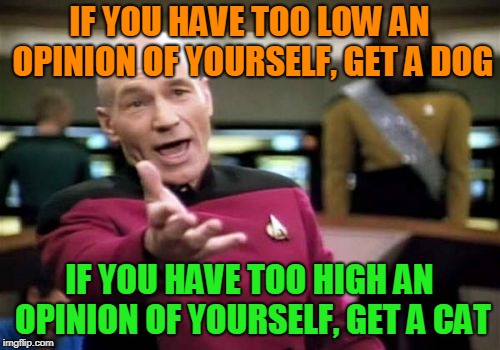 Picard Wtf Meme | IF YOU HAVE TOO LOW AN OPINION OF YOURSELF, GET A DOG IF YOU HAVE TOO HIGH AN OPINION OF YOURSELF, GET A CAT | image tagged in memes,picard wtf | made w/ Imgflip meme maker