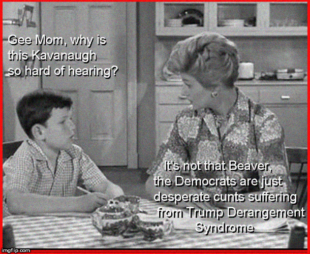 Gee Mom, what's Trump Derangement Syndrome ? | image tagged in trump derangement syndrome,lol so funny,christine blasey ford,brett kavanaugh,funny memes,leave it to beaver | made w/ Imgflip meme maker