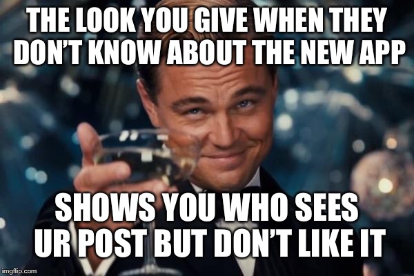 Leonardo Dicaprio Cheers Meme | THE LOOK YOU GIVE WHEN THEY DON’T KNOW ABOUT THE NEW APP; SHOWS YOU WHO SEES UR POST BUT DON’T LIKE IT | image tagged in memes,leonardo dicaprio cheers | made w/ Imgflip meme maker