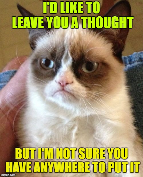 Grumpy Cat | I'D LIKE TO LEAVE YOU A THOUGHT; BUT I'M NOT SURE YOU HAVE ANYWHERE TO PUT IT | image tagged in memes,grumpy cat | made w/ Imgflip meme maker