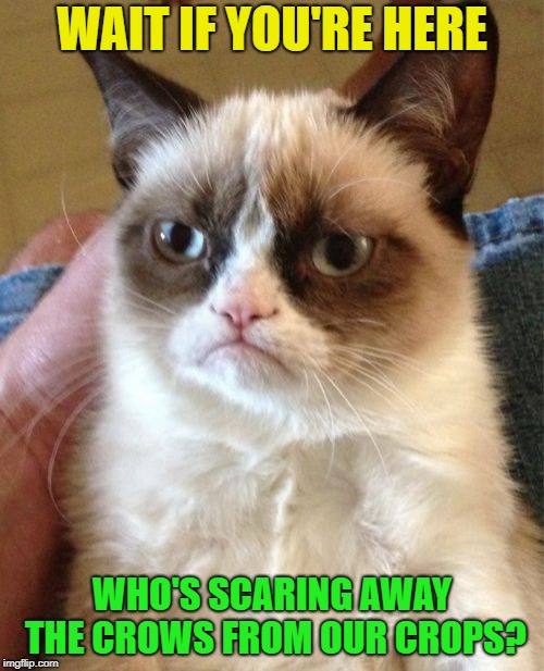 Grumpy Cat Meme | WAIT IF YOU'RE HERE; WHO'S SCARING AWAY THE CROWS FROM OUR CROPS? | image tagged in memes,grumpy cat | made w/ Imgflip meme maker