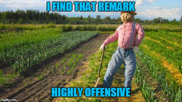 I FIND THAT REMARK HIGHLY OFFENSIVE | made w/ Imgflip meme maker