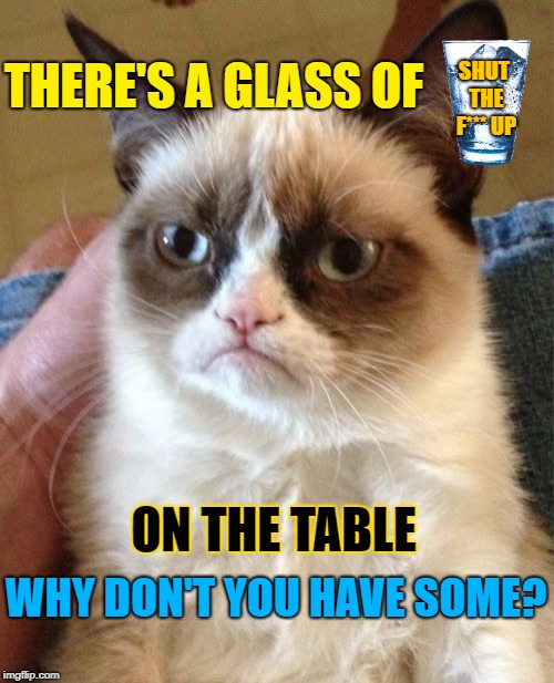 Grumpy Cat Meme | SHUT THE F*** UP; THERE'S A GLASS OF; ON THE TABLE; WHY DON'T YOU HAVE SOME? | image tagged in memes,grumpy cat | made w/ Imgflip meme maker