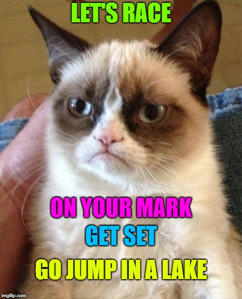 Grumpy Cat | LET'S RACE; ON YOUR MARK; GET SET; GO JUMP IN A LAKE | image tagged in memes,grumpy cat | made w/ Imgflip meme maker