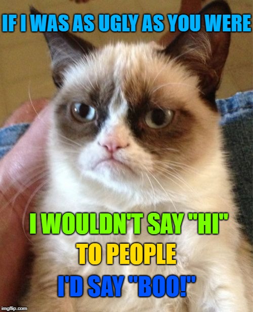 Grumpy Cat | IF I WAS AS UGLY AS YOU WERE; I WOULDN'T SAY "HI"; TO PEOPLE; I'D SAY "BOO!" | image tagged in memes,grumpy cat | made w/ Imgflip meme maker