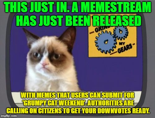 Check comments for the "Meme Stream Link"  A socrates and Craziness_all_the_way event. Oct 5th-8th | THIS JUST IN. A MEMESTREAM HAS JUST BEEN RELEASED; WITH MEMES THAT USERS CAN SUBMIT FOR 'GRUMPY CAT WEEKEND'. AUTHORITIES ARE CALLING ON CITIZENS TO GET YOUR DOWNVOTES READY. | image tagged in grumpy cat grinds my gears,memes,grumpy cat weekend,meme stream,craziness_all_the_way,socrates | made w/ Imgflip meme maker