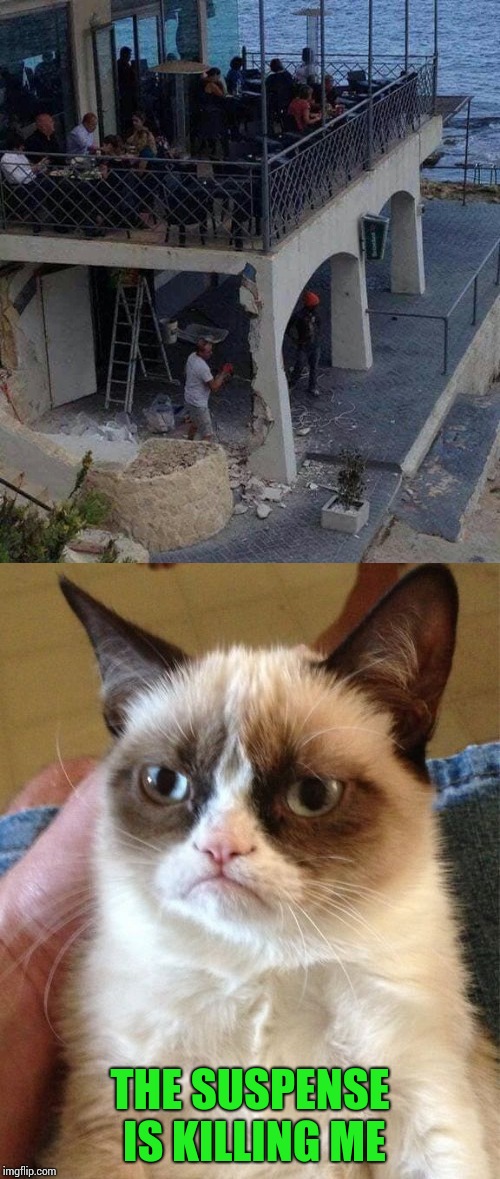 Grumpy Cat Weekend - A Craziness_all_the_way and Socrates event | THE SUSPENSE IS KILLING ME | image tagged in grumpy cat weekend,craziness_all_the_way,socrates,pipe_picasso | made w/ Imgflip meme maker
