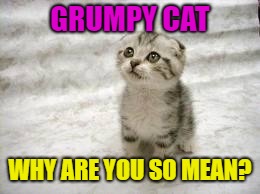 Sad Cat Meme | GRUMPY CAT WHY ARE YOU SO MEAN? | image tagged in memes,sad cat | made w/ Imgflip meme maker