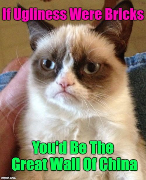 Ohh, Grumpy!  A socrates and Craziness_all_the_way event. Oct 5th-8th | If Ugliness Were Bricks; You'd Be The Great Wall Of China | image tagged in memes,grumpy cat,grumpy cat weekend,grumpy cat insults,great wall of china,funny insults | made w/ Imgflip meme maker