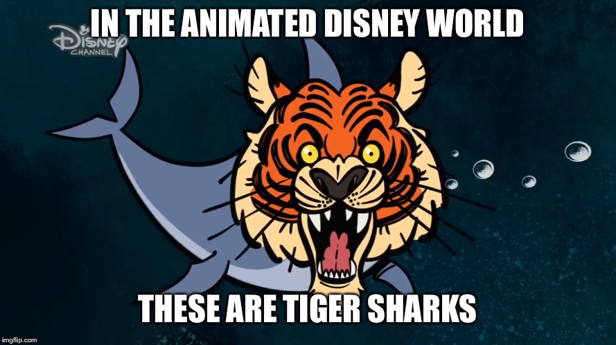 In The Animated Disney World, These are Tiger Sharks | IN THE ANIMATED DISNEY WORLD; THESE ARE TIGER SHARKS | image tagged in disney channel,mickey mouse,animated | made w/ Imgflip meme maker