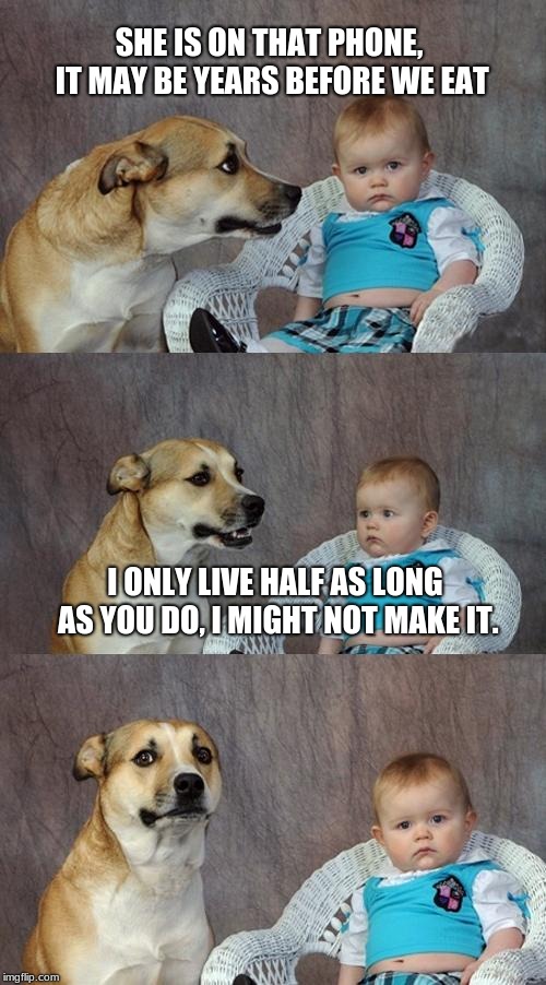 Dad Joke Dog | SHE IS ON THAT PHONE, IT MAY BE YEARS BEFORE WE EAT; I ONLY LIVE HALF AS LONG AS YOU DO, I MIGHT NOT MAKE IT. | image tagged in memes,dad joke dog | made w/ Imgflip meme maker