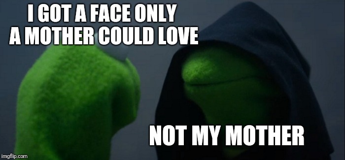 Evil Kermit | I GOT A FACE ONLY A MOTHER COULD LOVE; NOT MY MOTHER | image tagged in memes,evil kermit | made w/ Imgflip meme maker