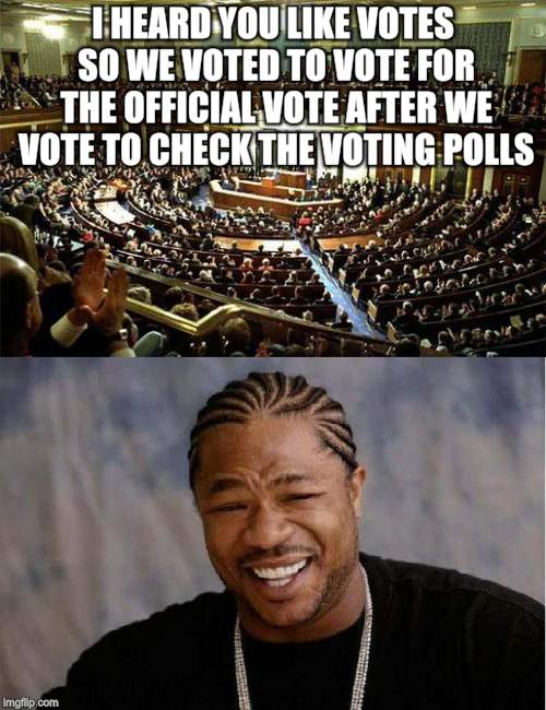 Voting to stall the vote | I HEARD YOU LIKE VOTES SO WE VOTED TO VOTE FOR THE OFFICIAL VOTE AFTER WE VOTE TO CHECK THE VOTING POLLS | image tagged in funny memes,congress,government corruption,politics | made w/ Imgflip meme maker