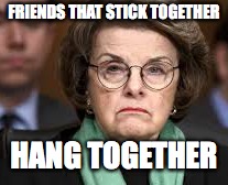 Friends the stick together HANG together | FRIENDS THAT STICK TOGETHER; HANG TOGETHER | image tagged in hang,dianne feinstein | made w/ Imgflip meme maker