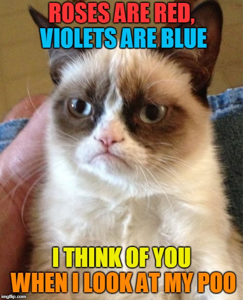 And if you don't get it, please let me explain / In my estimation, you're no more than a stain. Grumpy Cat Weekend! | ROSES ARE RED, VIOLETS ARE BLUE; VIOLETS ARE BLUE; I THINK OF YOU WHEN I LOOK AT MY POO; I THINK OF YOU | image tagged in memes,grumpy cat,grumpy cat weekend,roses are red,craziness_all_the_way,poem | made w/ Imgflip meme maker