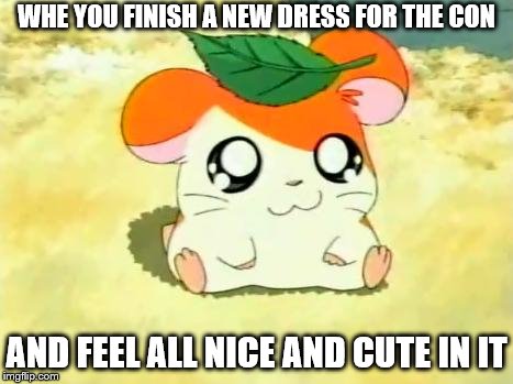 Hamtaro | WHE YOU FINISH A NEW DRESS FOR THE CON; AND FEEL ALL NICE AND CUTE IN IT | image tagged in memes,hamtaro | made w/ Imgflip meme maker