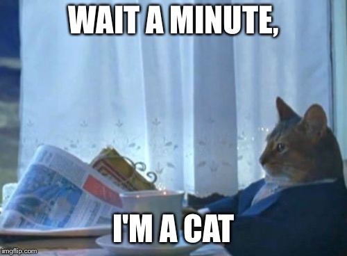 I Should Buy A Boat Cat Meme | WAIT A MINUTE, I'M A CAT | image tagged in memes,i should buy a boat cat | made w/ Imgflip meme maker