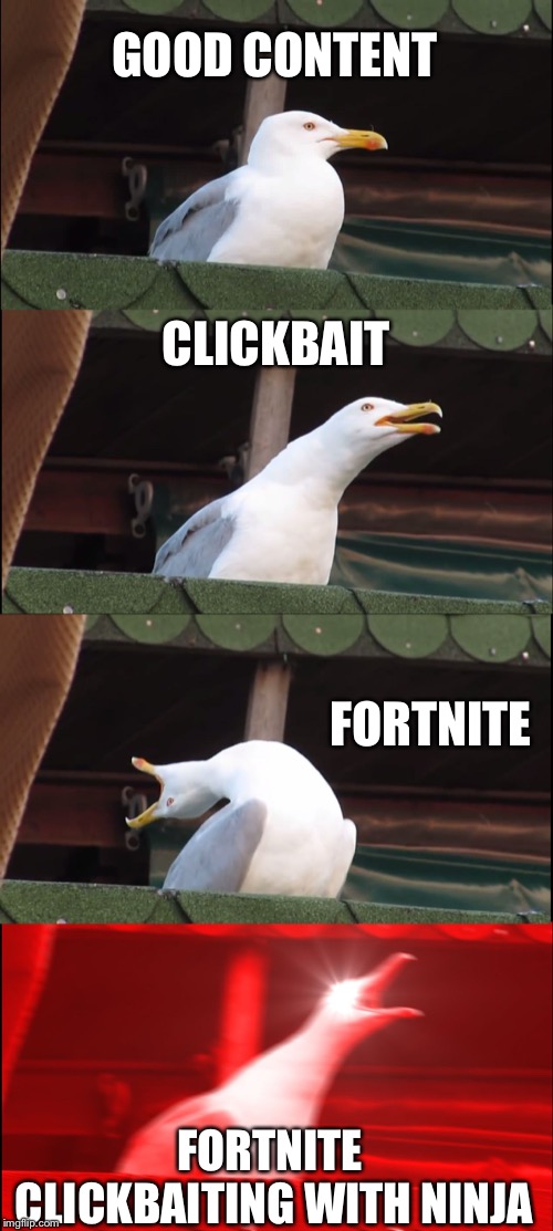 Inhaling Seagull | GOOD CONTENT; CLICKBAIT; FORTNITE; FORTNITE CLICKBAITING WITH NINJA | image tagged in memes,inhaling seagull | made w/ Imgflip meme maker