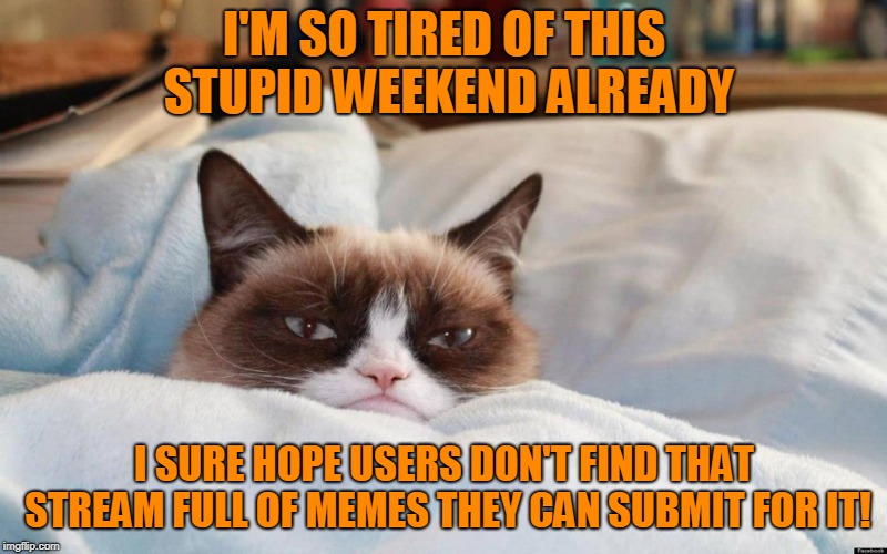grumpy cat bed | I'M SO TIRED OF THIS STUPID WEEKEND ALREADY I SURE HOPE USERS DON'T FIND THAT STREAM FULL OF MEMES THEY CAN SUBMIT FOR IT! | image tagged in grumpy cat bed | made w/ Imgflip meme maker