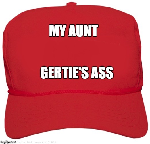blank red MAGA hat | MY AUNT; GERTIE'S ASS | image tagged in blank red maga hat | made w/ Imgflip meme maker